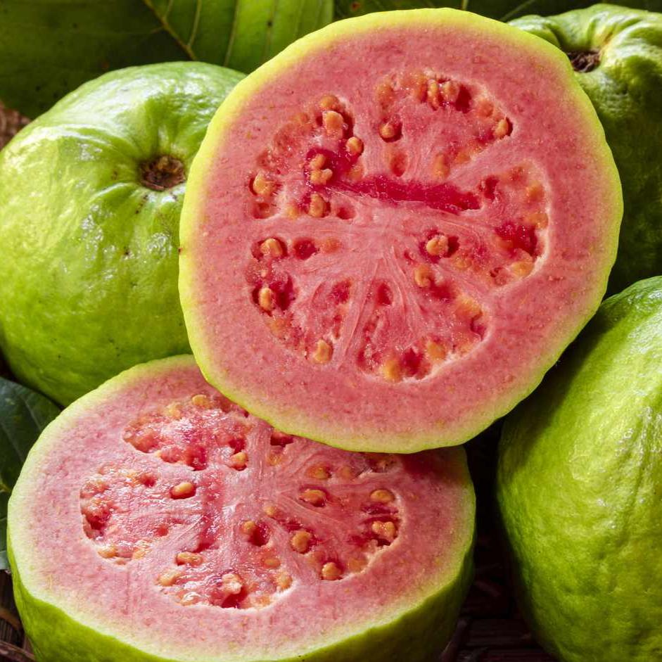 Guava Fruit Puree