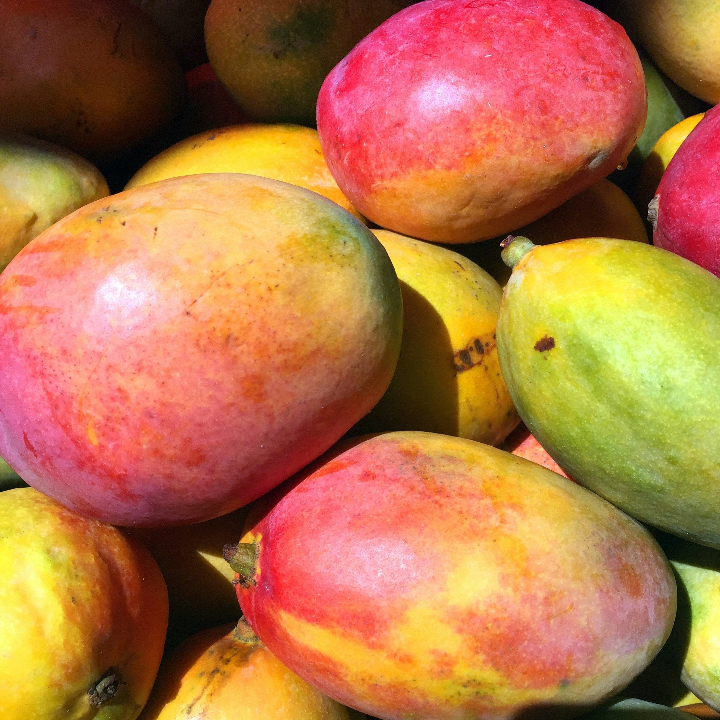 Mango Fruit Puree